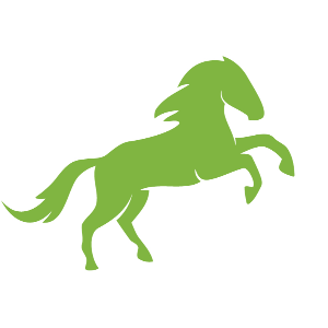 Life with Horses Limited Logo