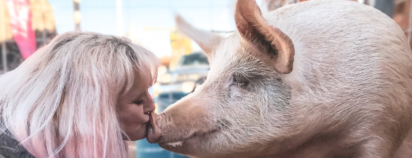 Saving Animals & Healing Hearts