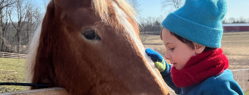 The Horse Sanctuary