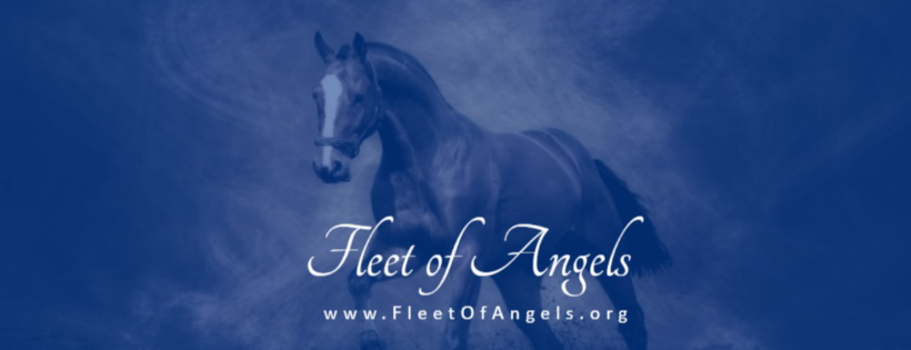 Fleet of Angels