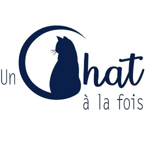 Un chat à la fois/ One cat at a time Logo