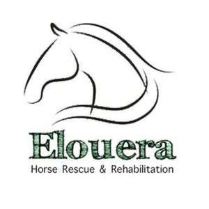 Elouera Horse Rescue And Rehabilitation