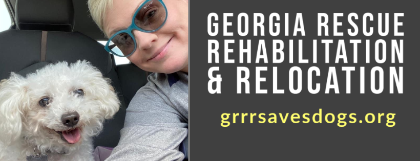 Georgia Rescue, Rehabilitation & Relocation