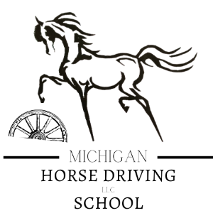Michigan Horse Driving School
