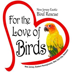 For the Love of Birds Logo