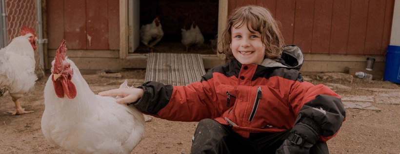SASHA Farm Animal Sanctuary 