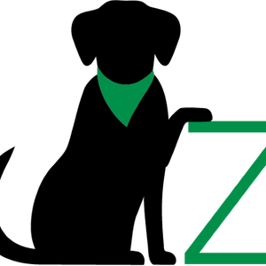 Fondation Zarabella Logo