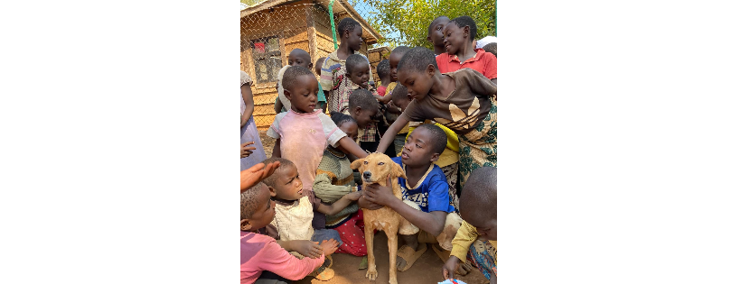 Animal Kind International