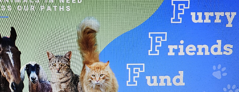 Furry Friends Fund