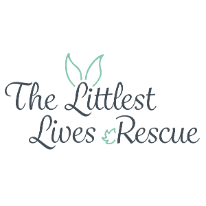 The Littlest Lives Rescue Logo