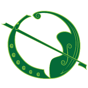Center for Irish Music