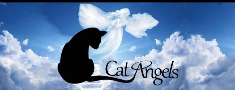 Cat Angels - Lowestoft & Surrounds