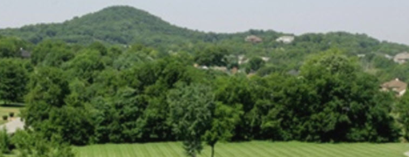 Citizens for Brentwood Green Space