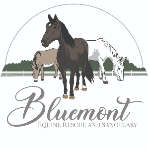 Bluemont Sanctuary Logo