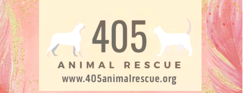 405 Animal Rescue