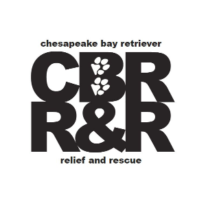 Chesapeake Bay Retriever Relief & Rescue Logo