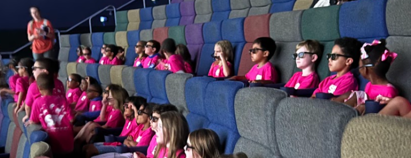 Supportive Partnerships for Youth