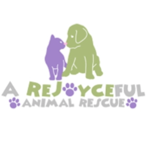 A Rejoyceful Animal Rescue