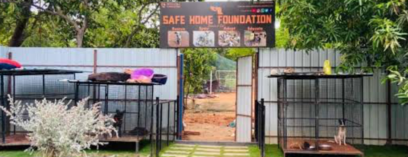 Safe Home Foundation