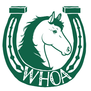 Willamette horse outreach alliance
