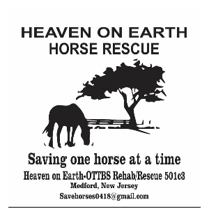 Heaven on Earth Horse Rescue and Rehab