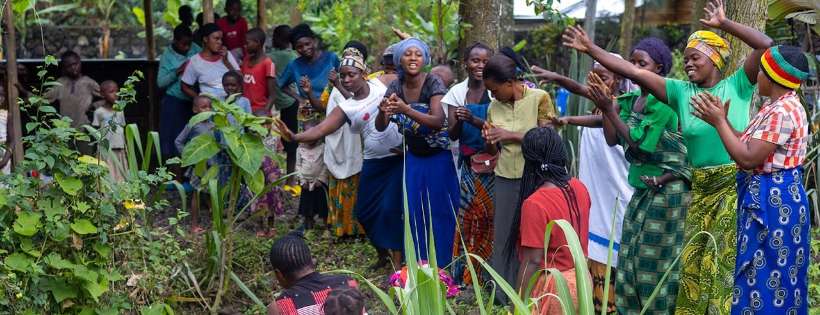 Friends of the Congo