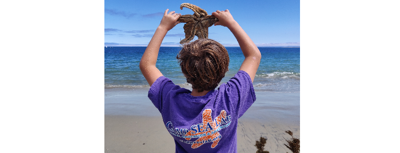 Friends of Camp Sea Lab