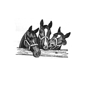 Straight to the Horses Mouth Logo