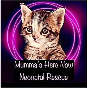 Mumma’s Here Now Neonatal Rescue Logo