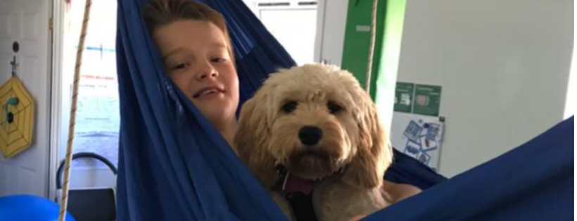 Dogs for Autism
