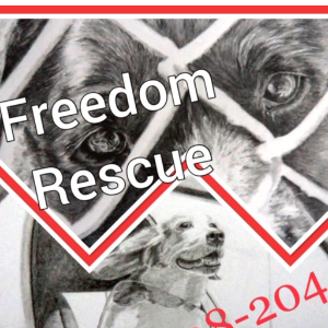 Freedom Rescue