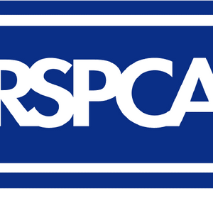 RSPCA West Suffolk
