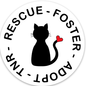 Kitten Rescue 101 Logo