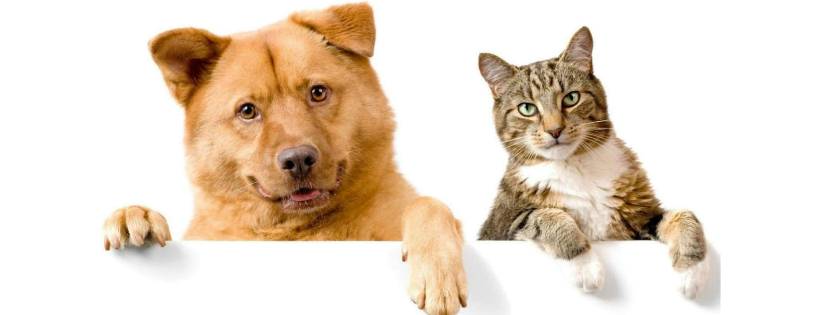 Smith County Humane