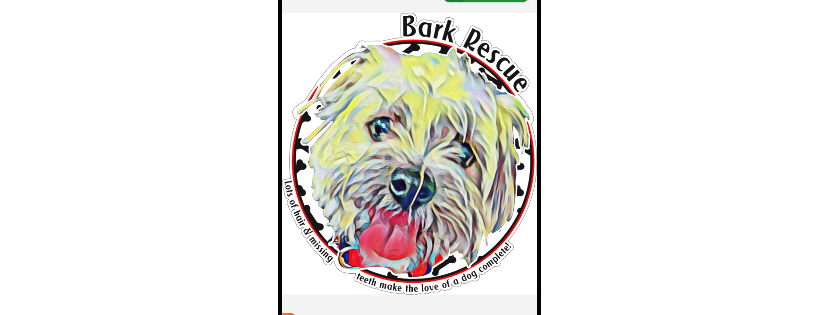 Bark n ride rescue & relocation team