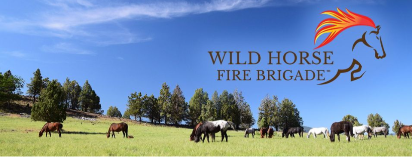 Wild Horse Fire Brigade