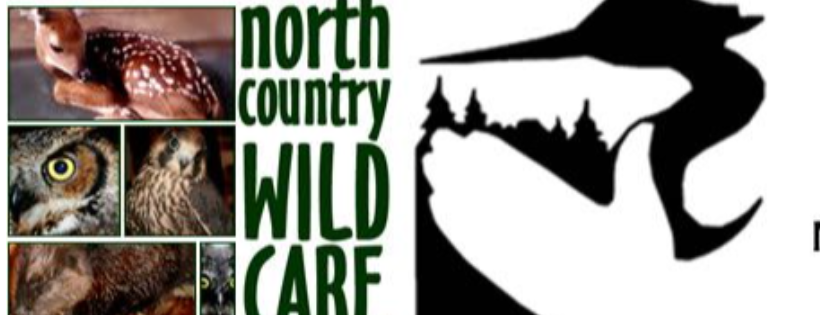 North Country Wild Care