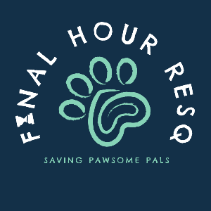 FinalHour ResQ Logo
