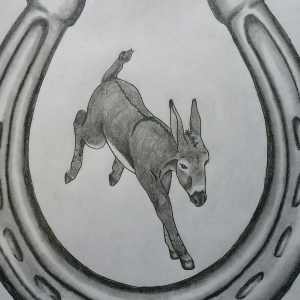 Safe the Brays Donkey Rescue