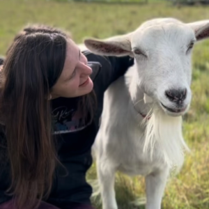 Wayward Ranch Animal Sanctuary, Inc.