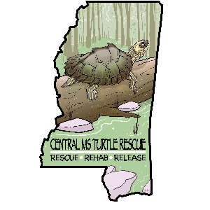 Central MS Turtle Rescue Logo