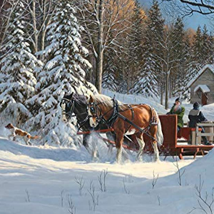 Sugar Shack Horses Logo
