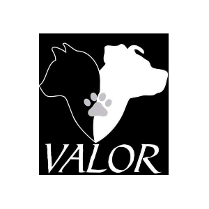 VALOR Rescue Logo