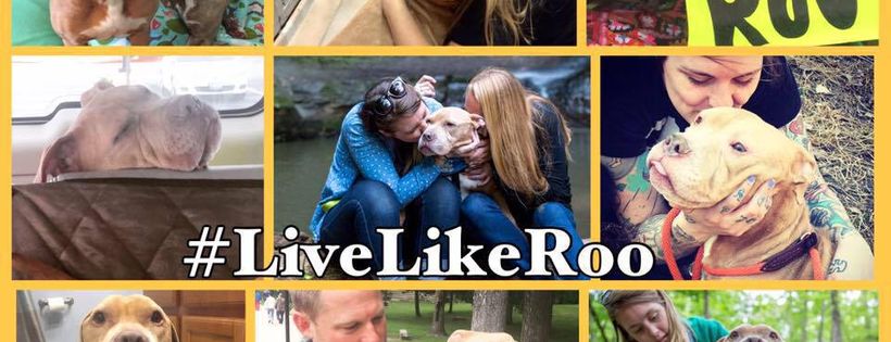 Live Like Roo Foundation