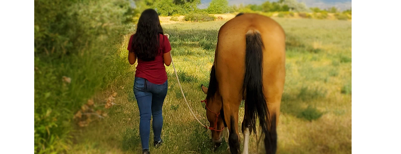Animal Assisted Therapy Programs of Colorado