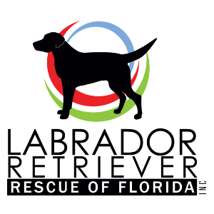 Labrador Retriever Rescue of Florida Logo