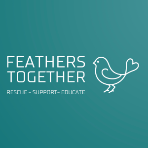 Feathers Together