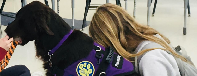 ACTS - Assistance Canine Training Services