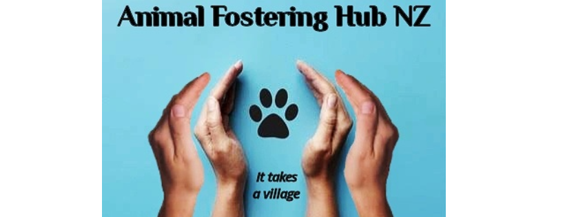 Animal Fostering Hub NZ
