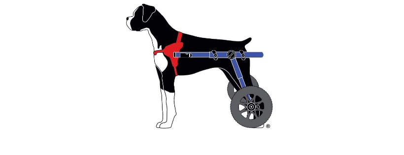 Tyson's love and hope on wheels